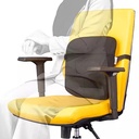 پشتی طبی باراد 