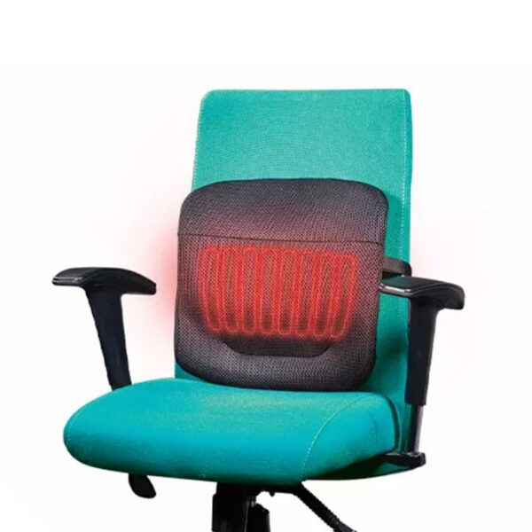 پشتی طبی گرمایشی سفیر باراد