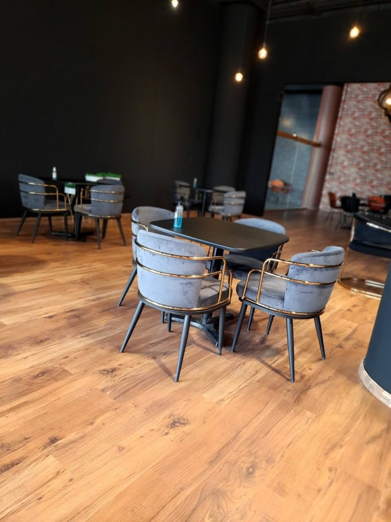 صندلی غذاخوری پلانتر(مدرنیکا)