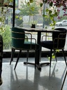 صندلی غذاخوری پلانتر(مدرنیکا)