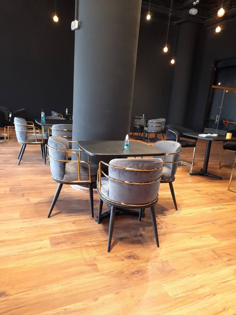 صندلی غذاخوری پلانتر(مدرنیکا)