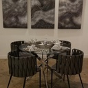 صندلی غذاخوری لیدر(مدرنیکا)