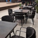 صندلی غذاخوری پلانتر(مدرنیکا)