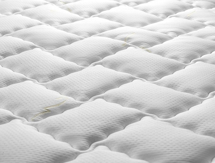 تشک رویا  بونل 2