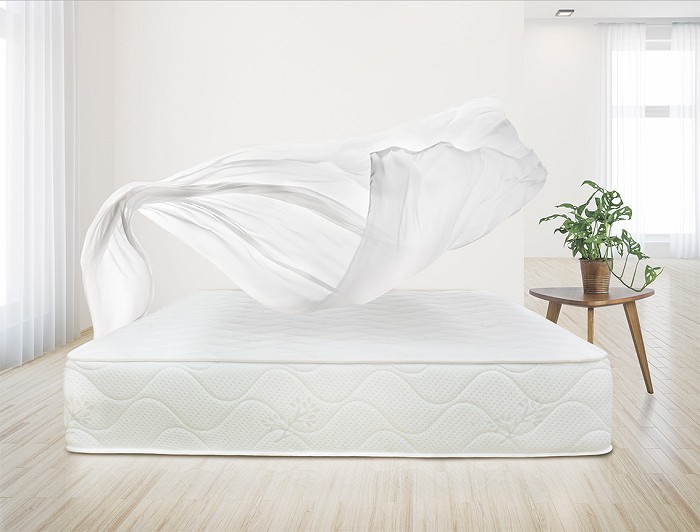 تشک رویا  مدیکال 2