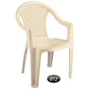صندلی دسته دار بزرگ NS-812