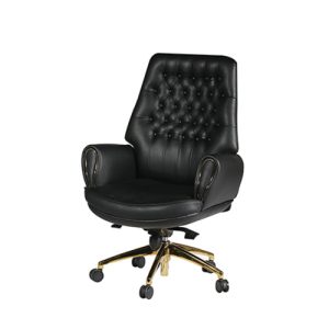 صندلی معاونتی رویال ROYAL A 2090 G